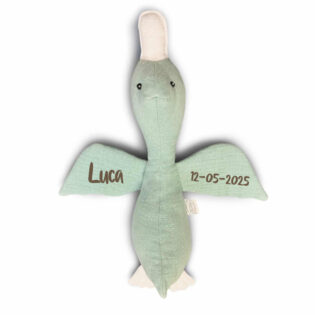 Knuffel met naam Eend Stone green